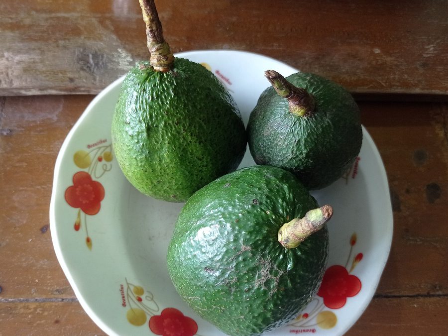 Avocado prepared for a baby