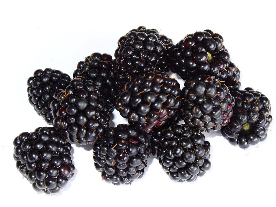 Blackberry prepared for a baby