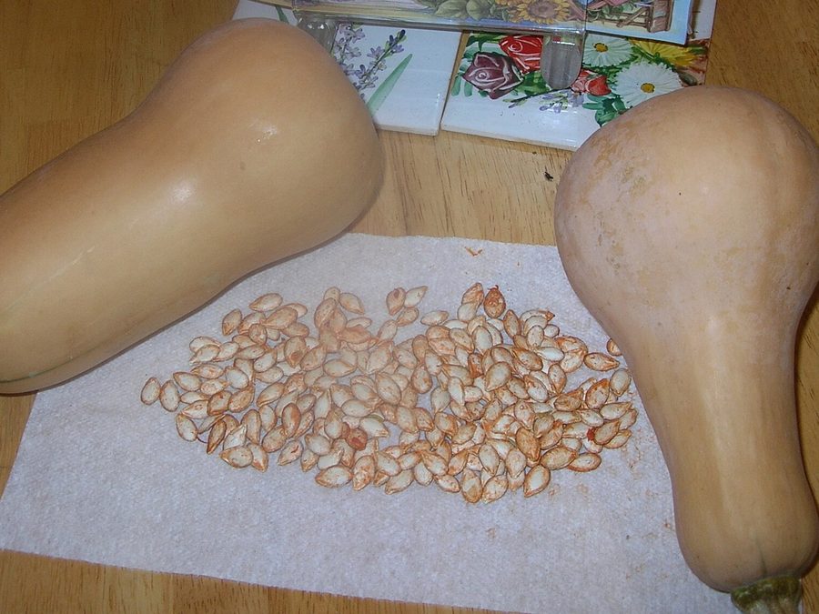 Butternut squash prepared for a baby