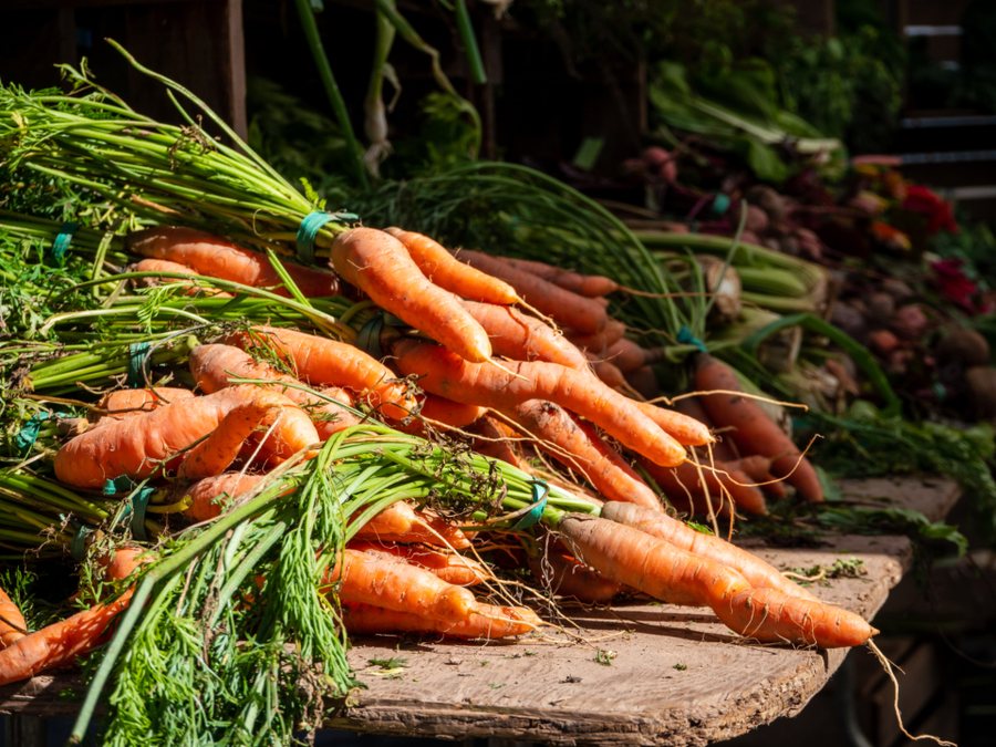 Carrot prepared for a baby