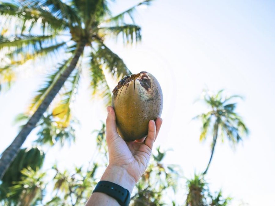 Coconut prepared for a baby