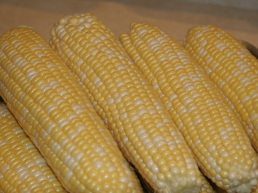 Corn prepared for a baby