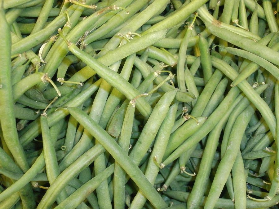 Green beans prepared for a baby