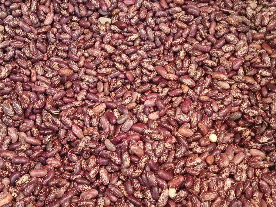 Kidney beans prepared for a baby