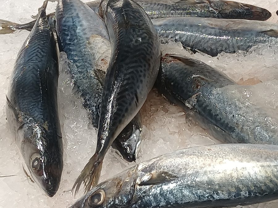 Mackerel prepared for a baby