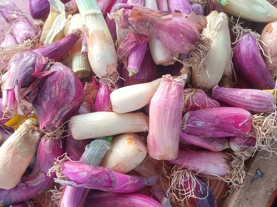 Onion prepared for a baby