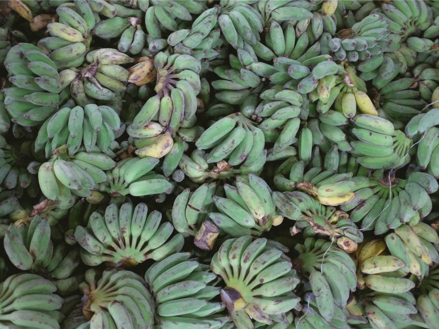 Plantain prepared for a baby