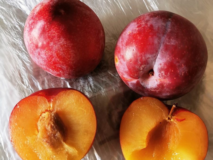 Plum prepared for a baby