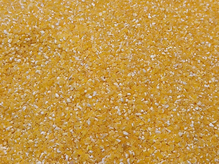 Polenta prepared for a baby