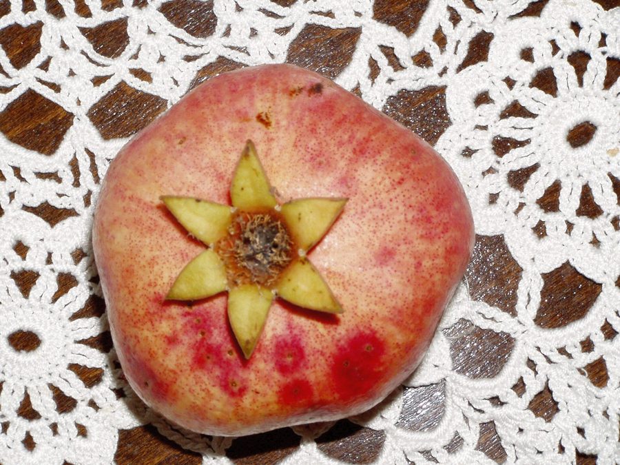 Pomegranate prepared for a baby