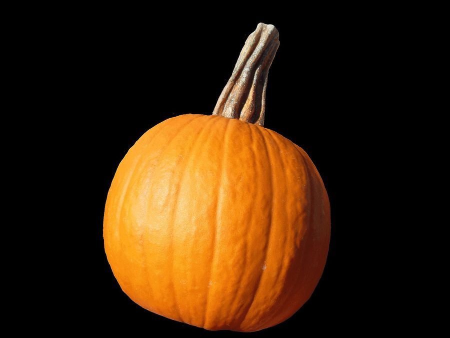 Pumpkin prepared for a baby