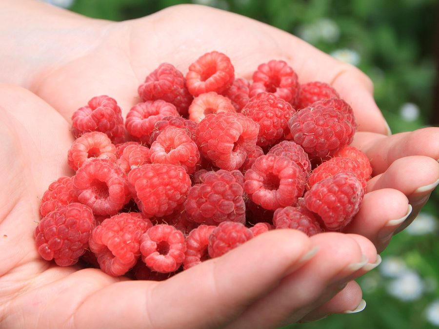 Raspberry prepared for a baby
