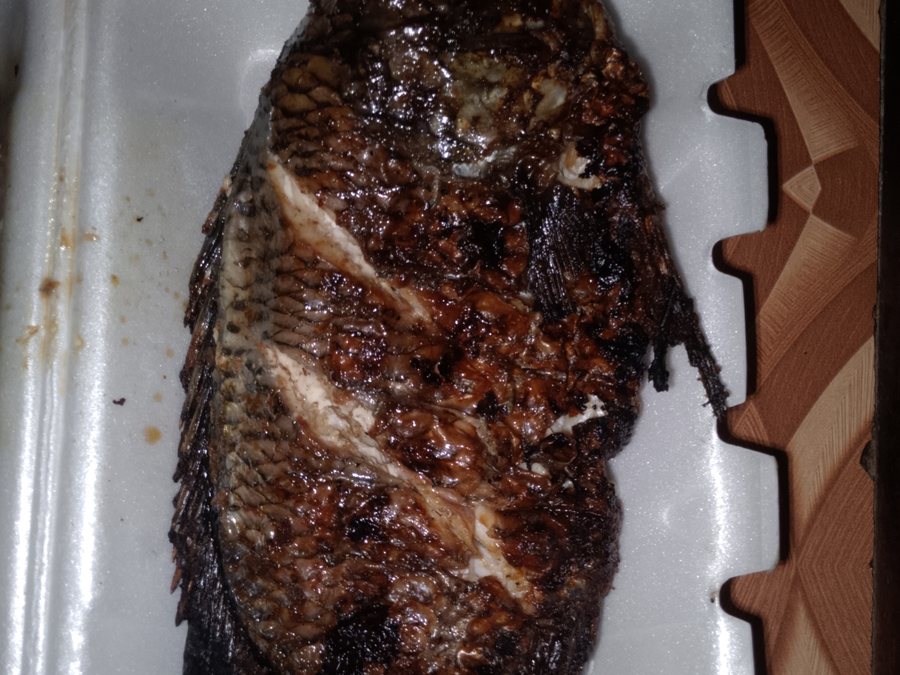 Tilapia prepared for a baby