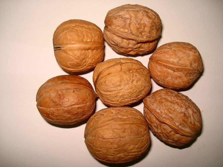 Walnut butter prepared for a baby