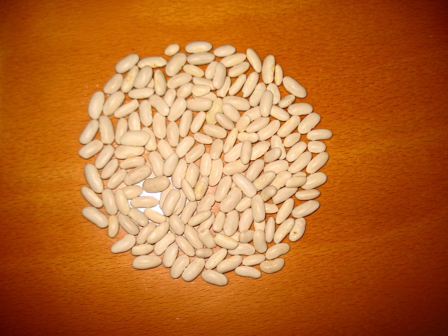 White beans prepared for a baby